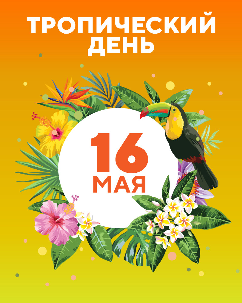 Тропический день 16 мая