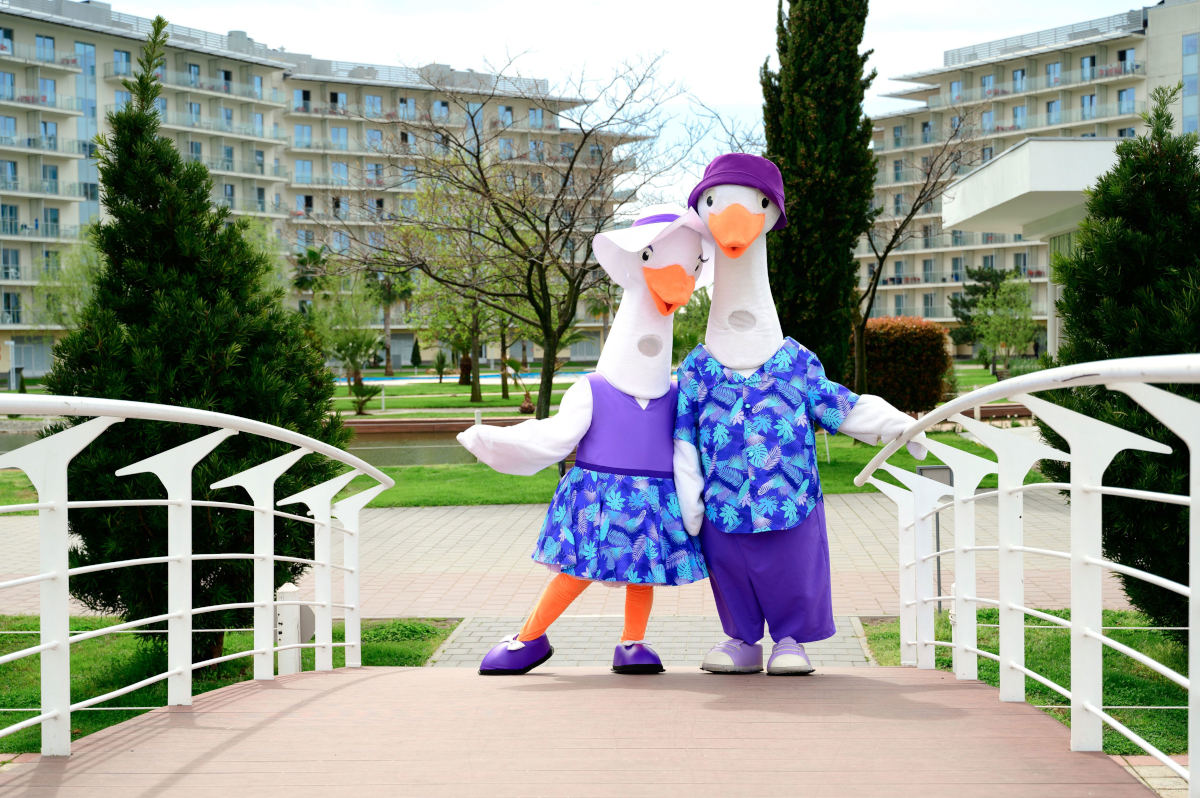 Сочи Парк Отель запускает фиолетовый сезон скидок